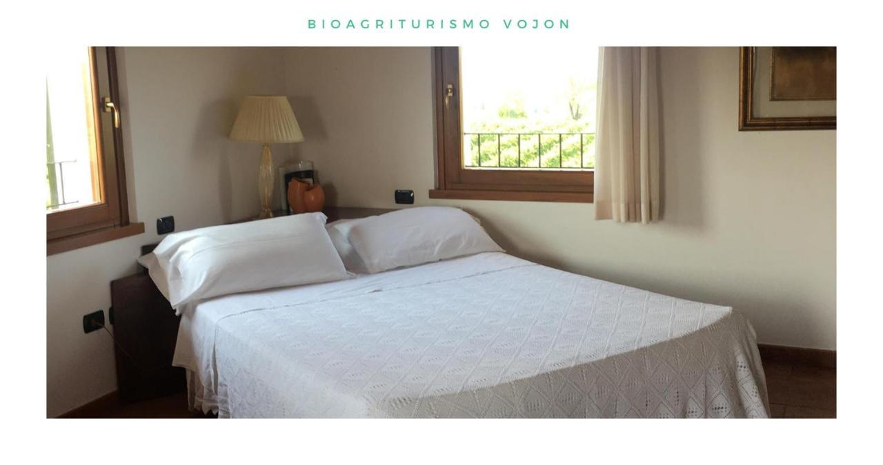 Bio Agriturismo Vojon Ponti sul Mincio Exterior photo
